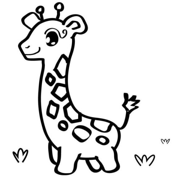 580x599 49 Best Super Cute Animal Coloring Pages Images