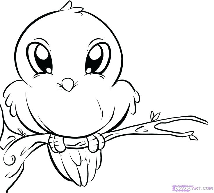 736x665 Cute Baby Animal Coloring Pages Together With Cute Baby Giraffe