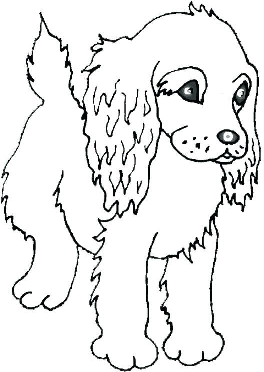 527x742 Baby Animal Printable Pictures Cute Animal Coloring Pages Plus