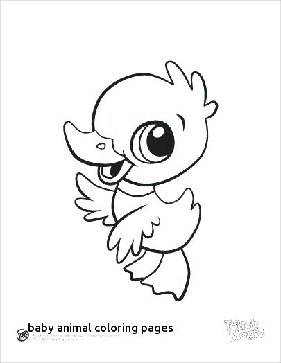 405x524 Baby Farm Animals Coloring Pages Farm Animal Coloring Pages