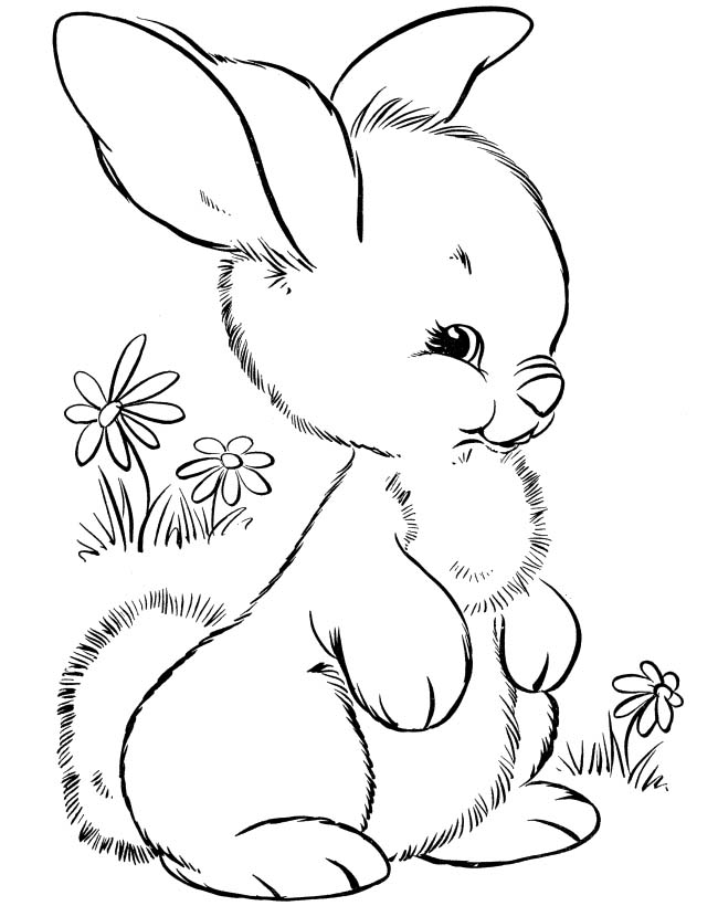 650x820 Rabbits