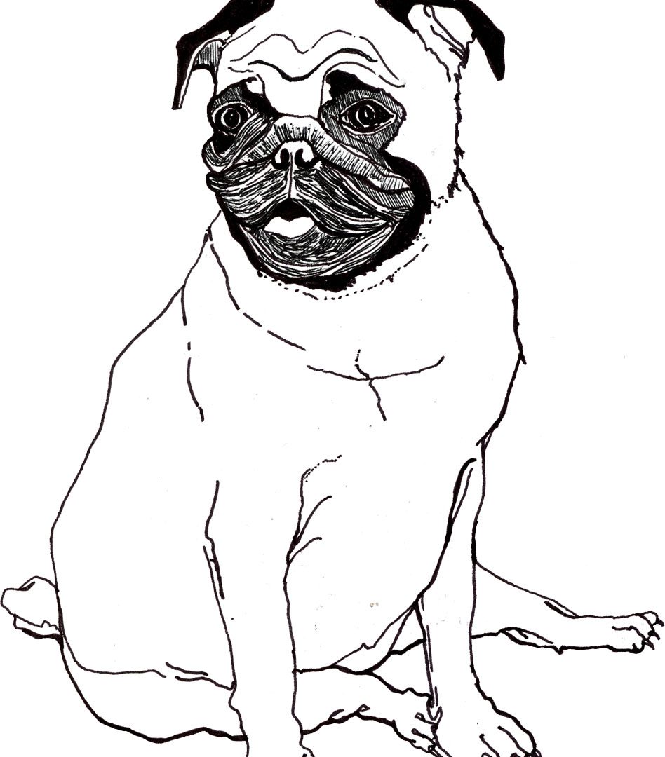 948x1080 Best Cute Puppy Colorings Drawing Of Cartoon Dog Baby Coloring