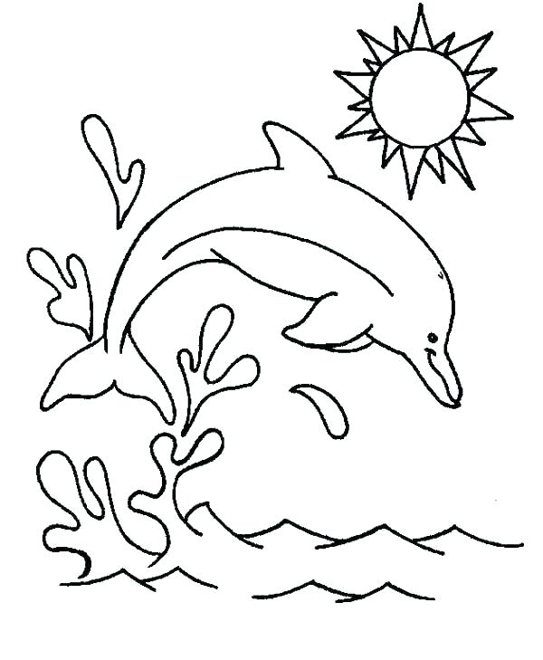 600x729 Cute Dolphin Colouring Pages Coloring Printable Free Cute Dolphin