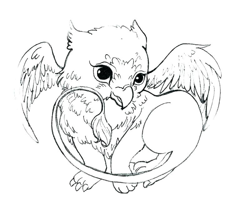 736x638 Coloring Pages For Adults To Print Amazing Baby Dragon Cool Ideas