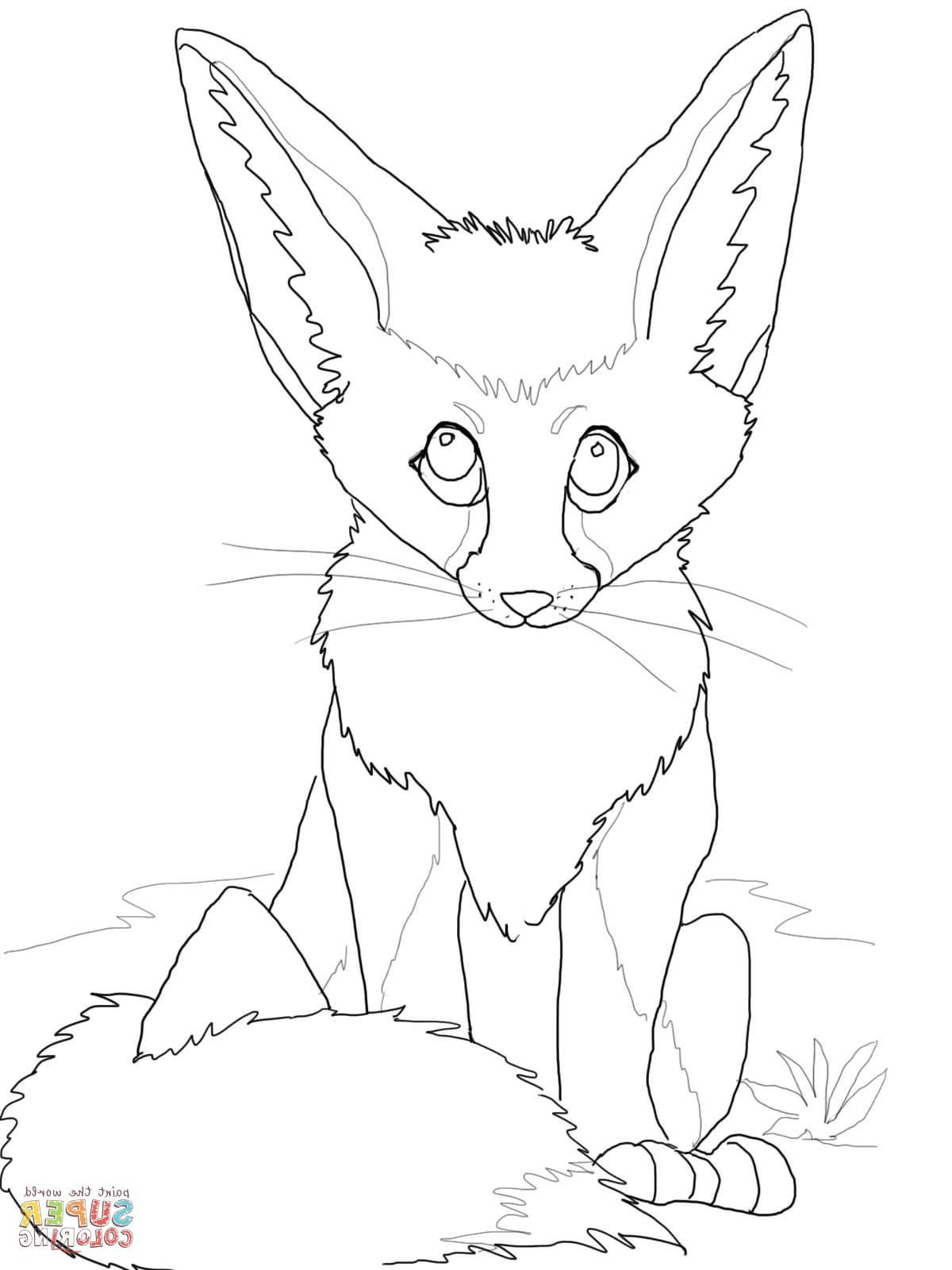 1200x1600 Lovely Baby Fox Coloring Pages Card And Coloring Page