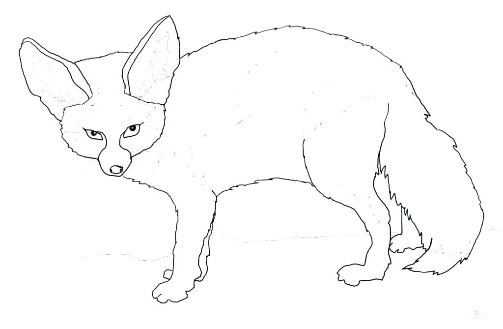 1024x669 Baby Fox Coloring Pages Fox Coloring Page Cute Baby Fox Coloring