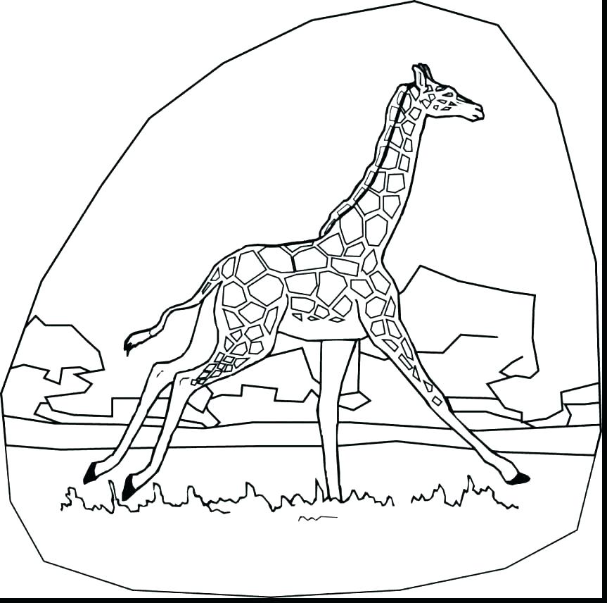 863x856 Cute Baby Giraffe Coloring Pages Printable Template