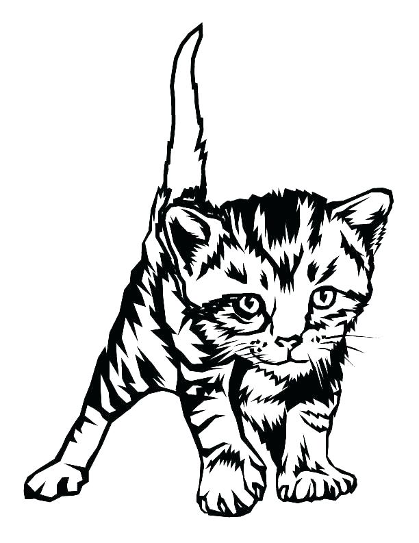 612x793 Coloring Pages Of Kittens Kitten Color Pages Cute Puppies