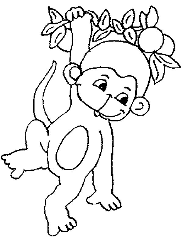 600x777 Monkey, Cute Baby Monkey Hanging On Tree Coloring Page For Kids