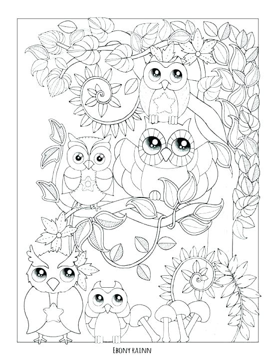 553x720 Coloring Pages Of Owls Coloring Pages Of Cute Baby Owls Www