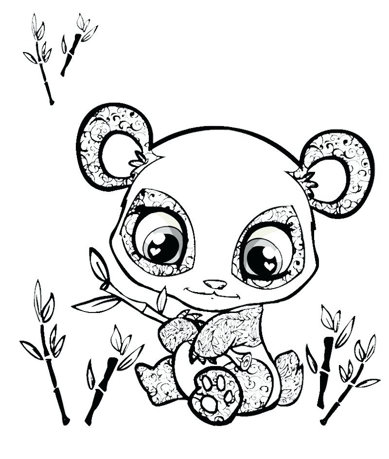 800x943 Panda Coloring Page Cute Baby Panda Coloring Panda Coloring Pages