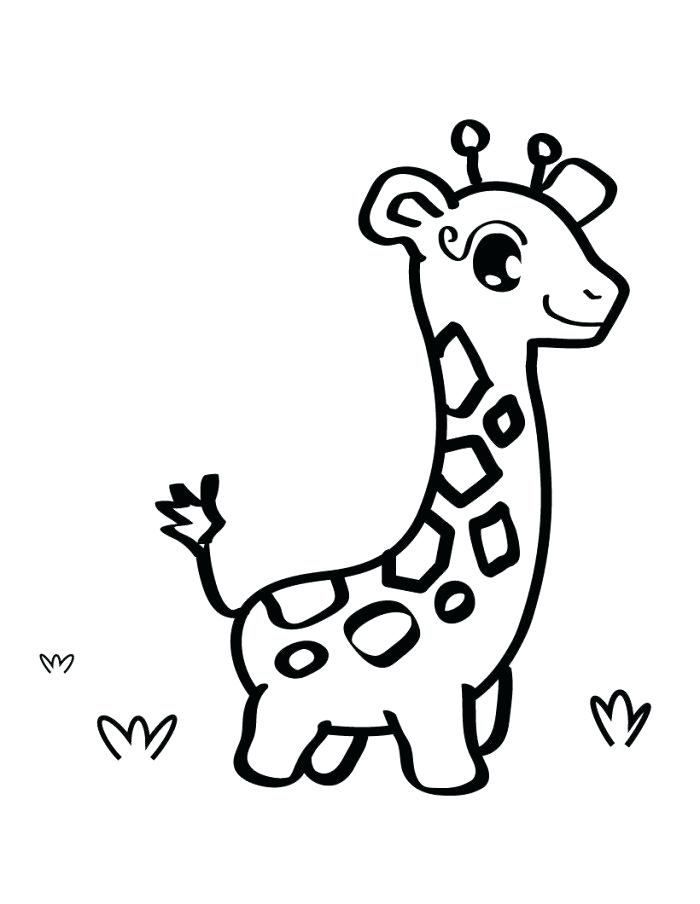 700x904 Cute Baby Penguin Coloring Pages Cute Baby Giraffe Coloring Page