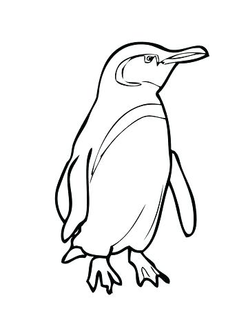 360x480 Baby Penguin Coloring Pages Appealing Baby Penguin Coloring Pages