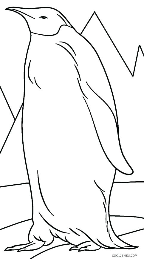 483x867 Baby Penguin Coloring Pages Tacky The Penguin Coloring Pages