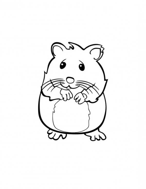 600x776 Cute Hamster In Guinea Pig Coloring Page Color Luna