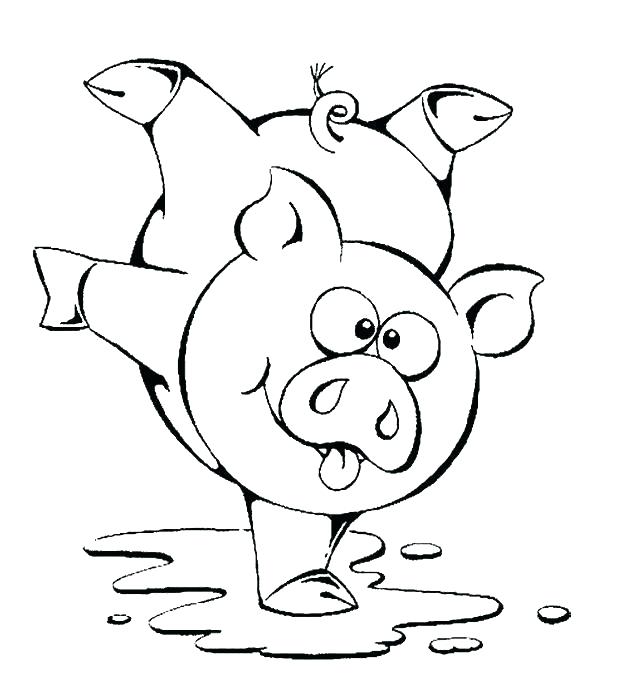 620x696 Guinea Pig Coloring Pages Pigs Coloring Pages Coloring Trend