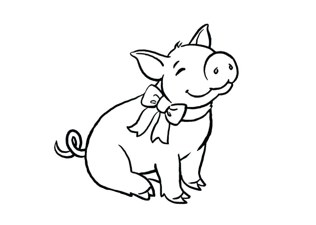 1024x731 Guinea Pig Coloring Pages