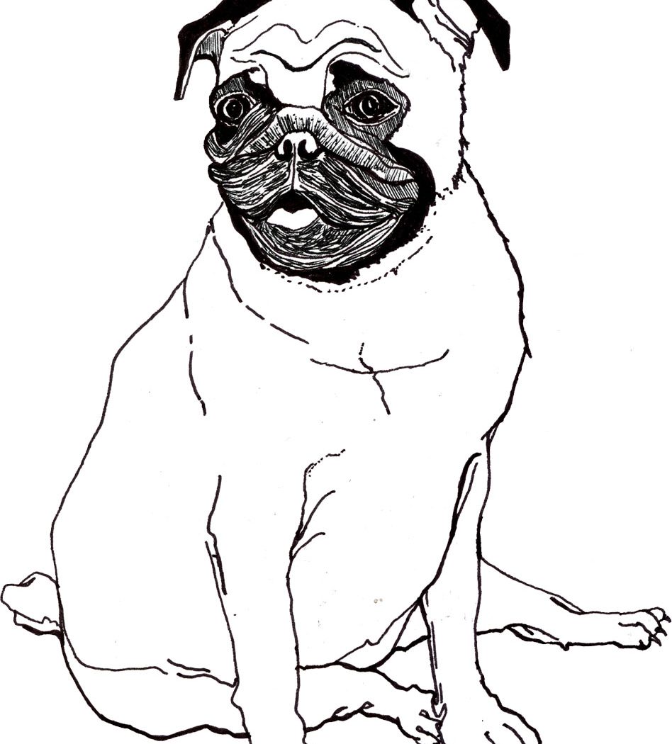 948x1050 Best Cute Puppy Colorings Drawing Of Cartoon Dog Baby Coloring