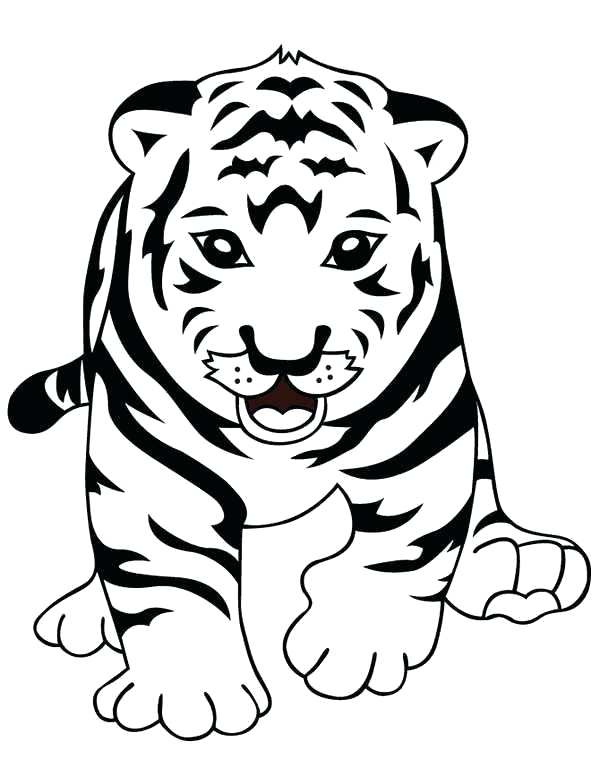 600x776 Cute Frank Tiger Coloring Pages Frank Tiger Coloring Cute Frank