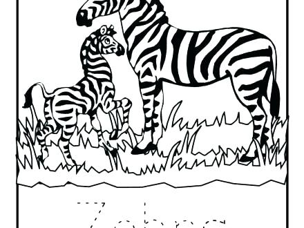 440x330 Coloring Pages Of Zebras Baby Zebra Coloring Pages Cartoon Baby