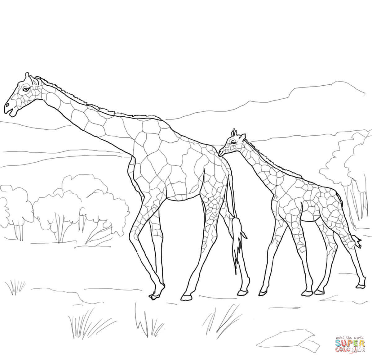 1200x1160 Cute Baby Zebra Coloring Page Within 0