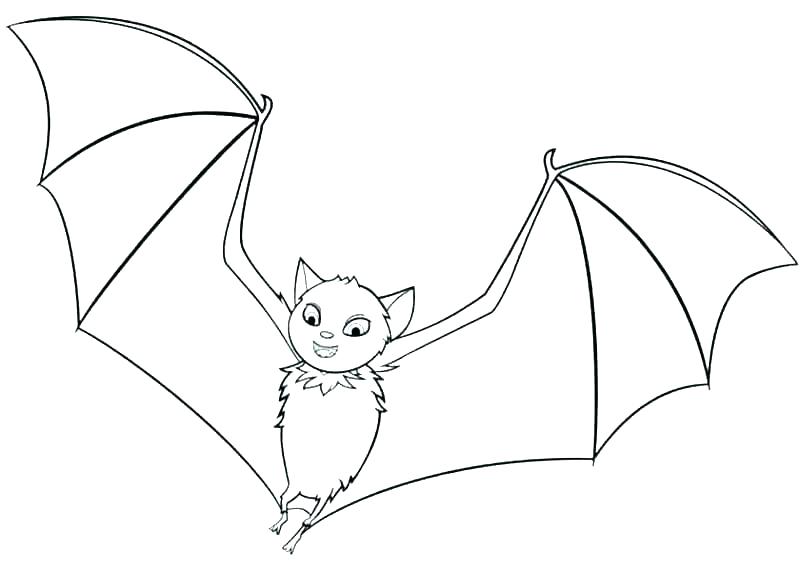 800x571 Halloween Bat Coloring Pages Cute Bat Coloring Pages Of Bats
