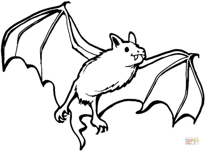 720x533 Bat Halloween Coloring Pages Bats Coloring Pages Free Coloring