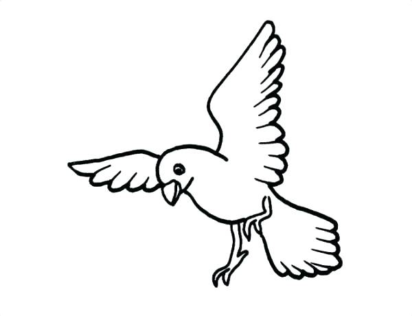 600x460 Hummingbird Coloring Cute Bird Coloring Pages Flying Bird Coloring