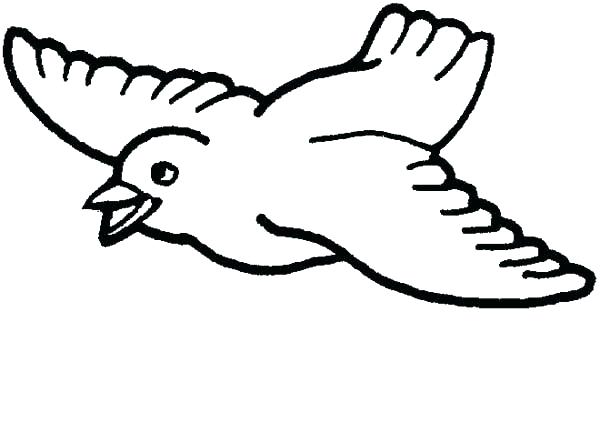 600x424 Bird To Color Phoenix Coloring Pages Phoenix Bird Coloring Page