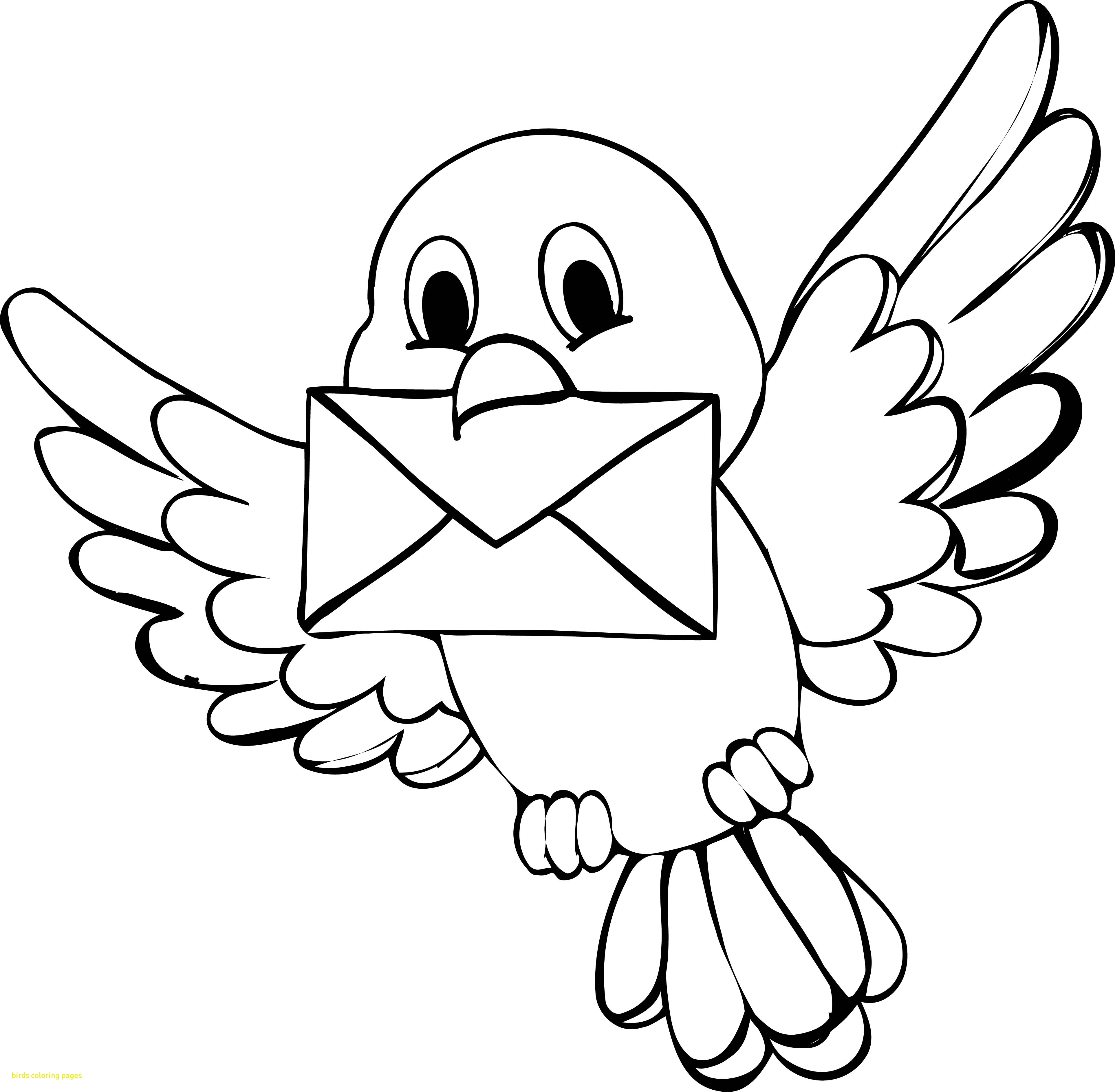 3851x3773 Birds Coloring Pages With Cute Bird Coloring Page