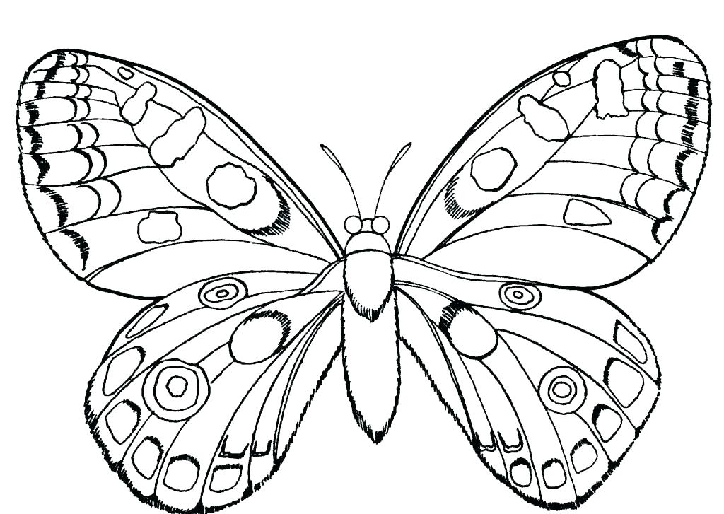 1024x727 Elegant Bugs Bunny Coloring Pages Image Elegant Bugs Bunny