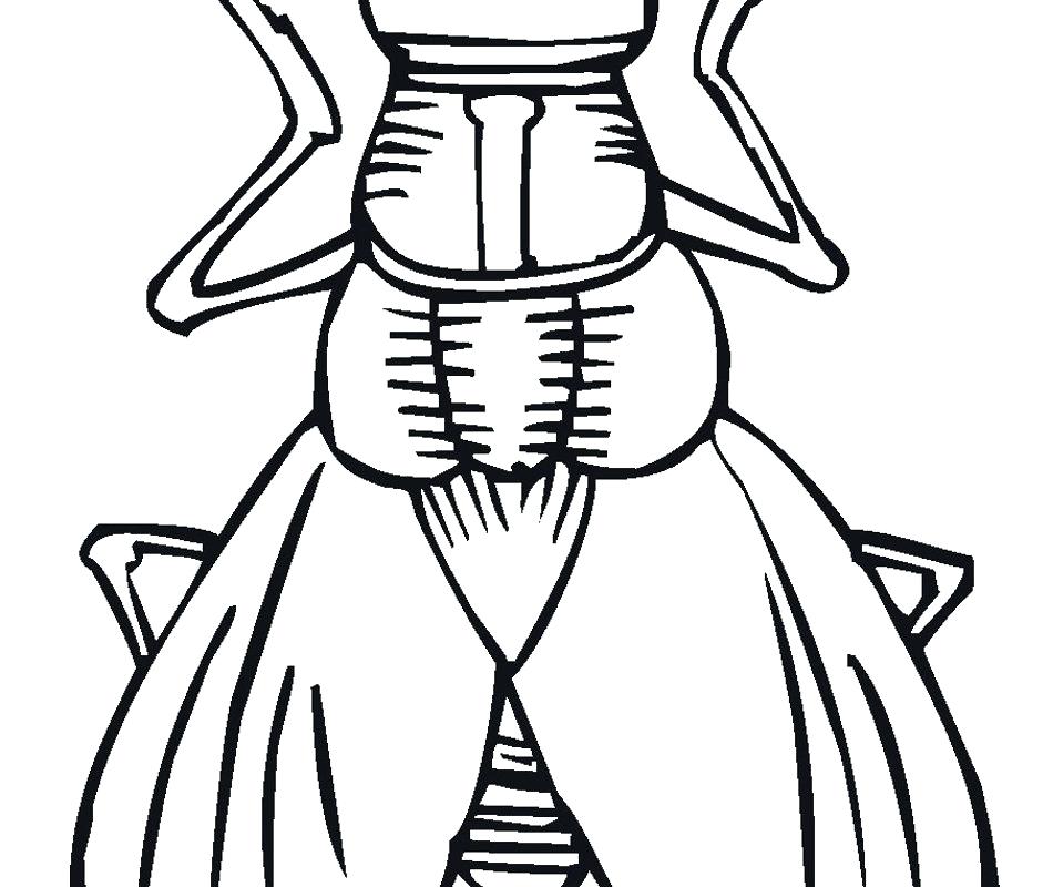 950x800 Insect Coloring Pages Insects Coloring Pages Insect Cute Insect