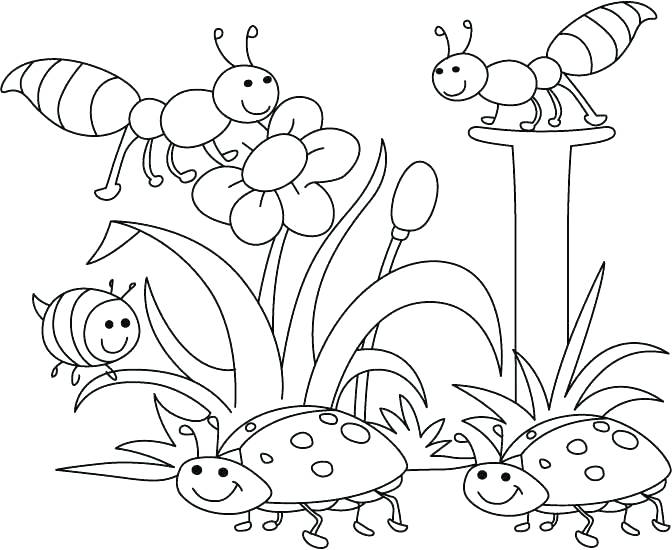 672x550 Insects Coloring Pages Insect Coloring Page Bug Coloring Page