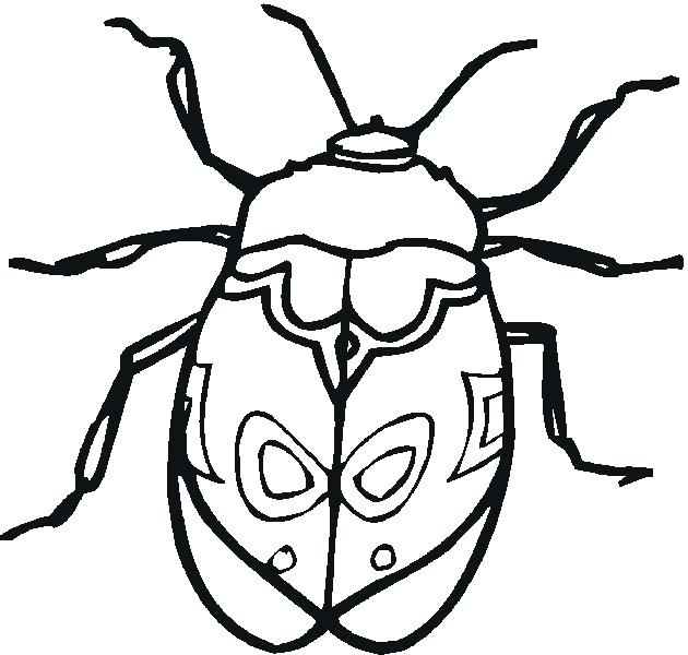 630x600 Unique Insect Coloring Pages And 71 Cute Bug Colouring Pages