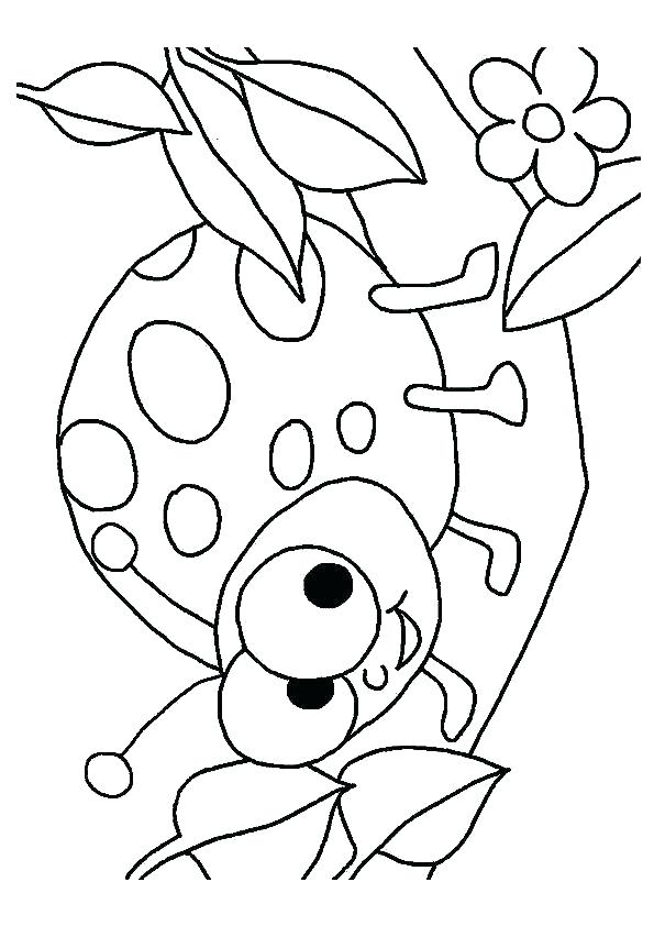 595x842 Lady Bug Coloring Sheet