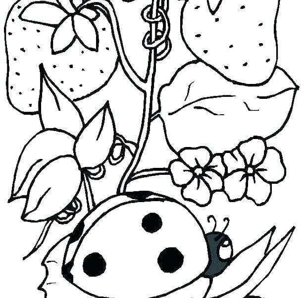 612x600 Bug Coloring Sheets Bugs Coloring Pages Riding Bugs Coloring Page