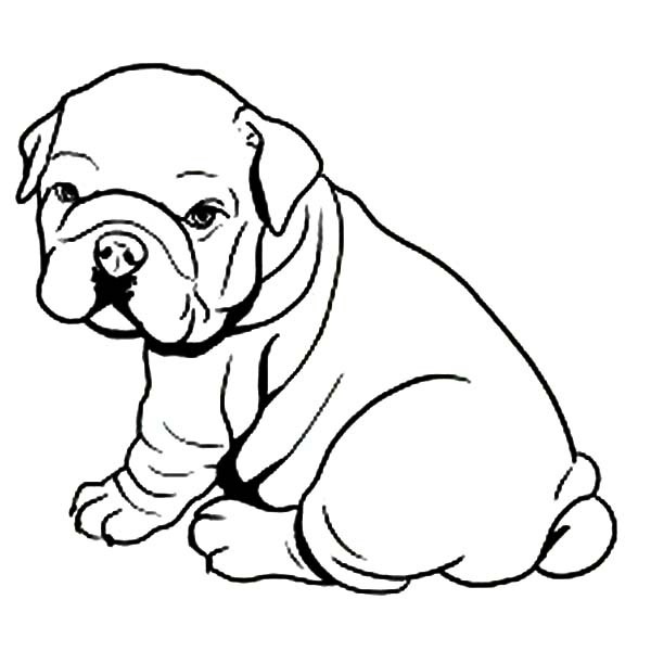 600x600 Bulldog Coloring Pages Unique Go Bulldogs Coloring Pages Logo