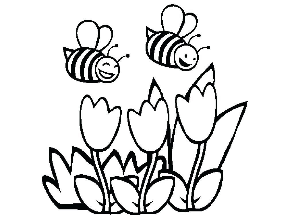 1024x768 Bumble Bee Coloring Page Bumblebee Pages Lovely Bees Sheet Free