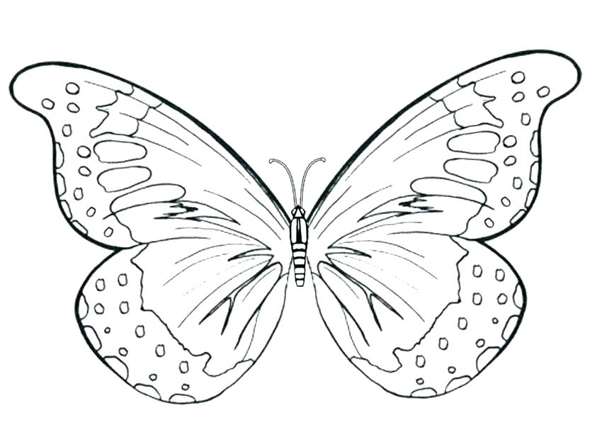 850x600 Butterfly Color Sheets Cute Butterfly Coloring Pages Butterfly