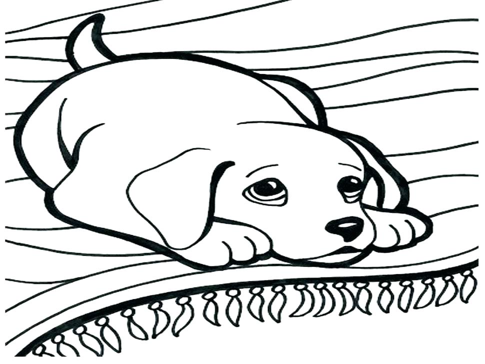 970x728 Cute Cartoon Dog Coloring Pages Kids Coloring Dogs Coloring Page