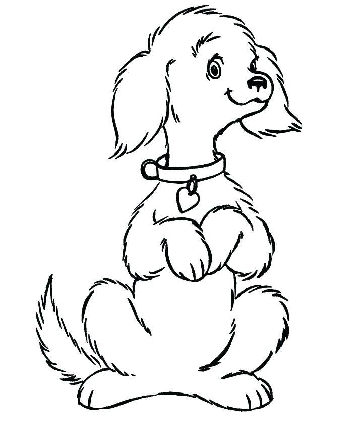 712x875 Dog And Cat Coloring Pages Coloring Sheets Cats And Dogs Cat Dog