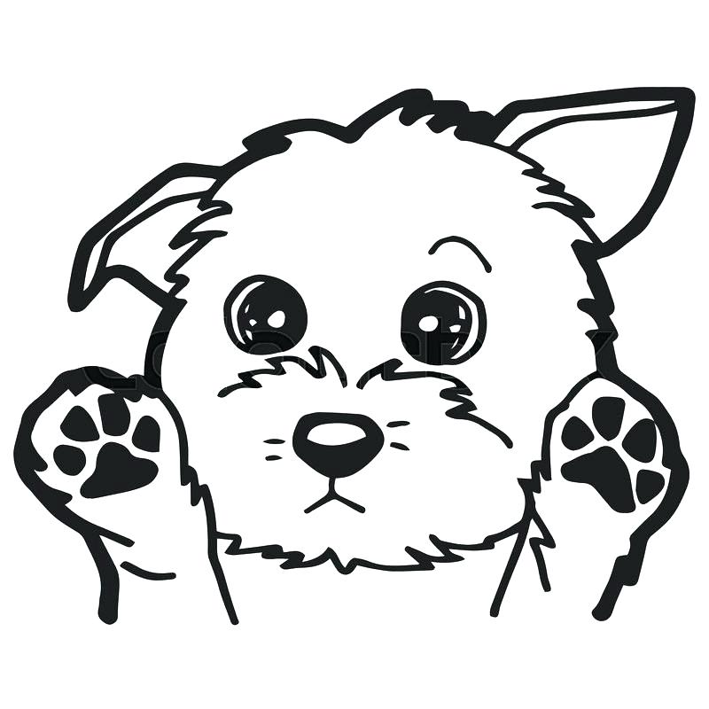 800x800 Cartoon Dog Coloring Pages Cartoon Dog Coloring Pages Image