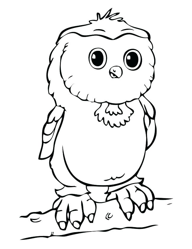 Cute Cartoon Owl Coloring Pages