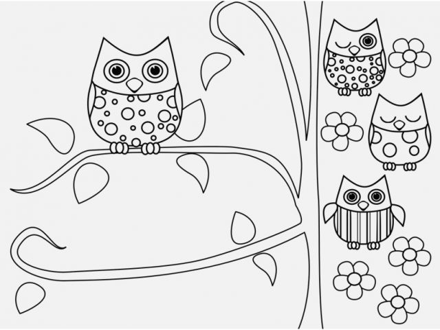 640x480 Free Owl Coloring Pages Photo Free Printable Owl Coloring Pages