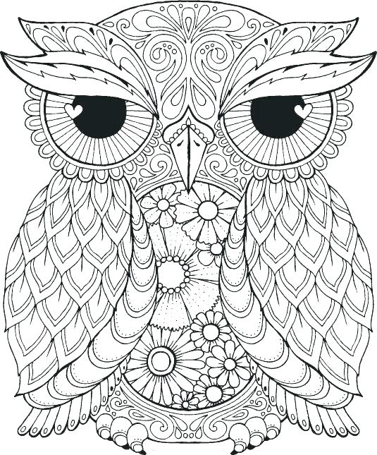 535x645 Baby Owl Coloring Pages Related Gallery Of The Cute Cartoon Baby