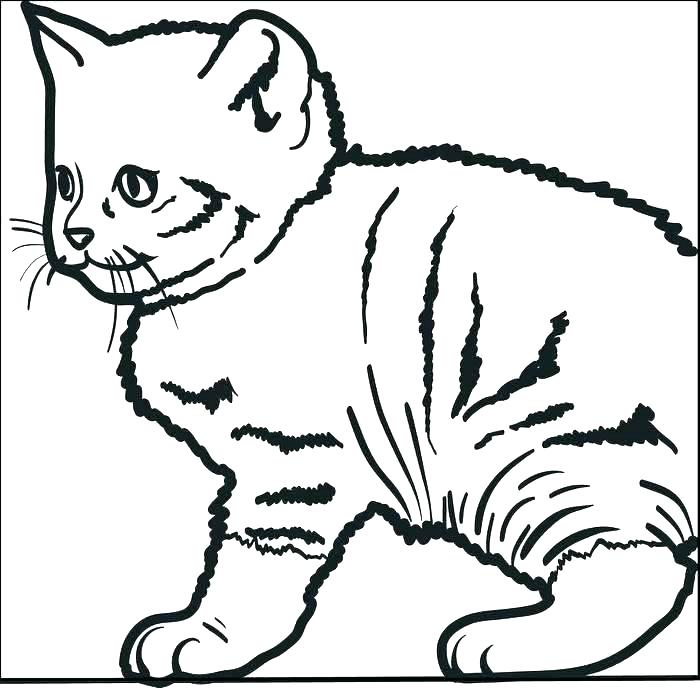 700x688 Funny Cat Coloring Pages Happy Kitten Coloring Page Coloring Page