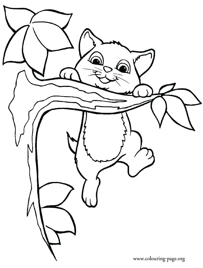 700x922 Lovely Cat Coloring Pages For Kids Or Classy Cute Kitty Coloring