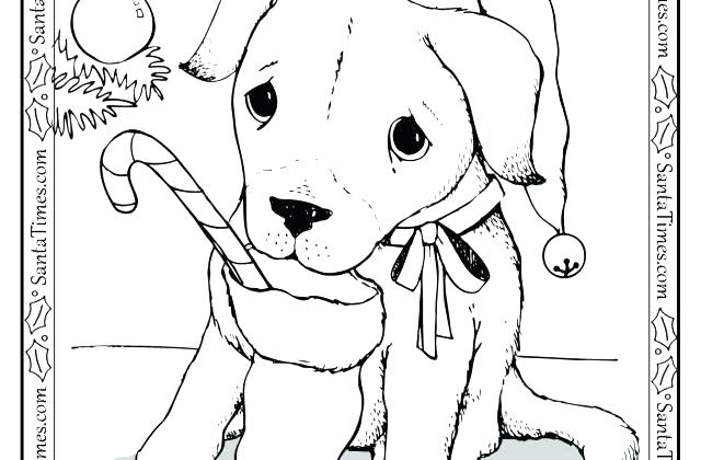 640x420 Puppy Christmas Coloring Pages Puppy Color Pages I Love You Puppy