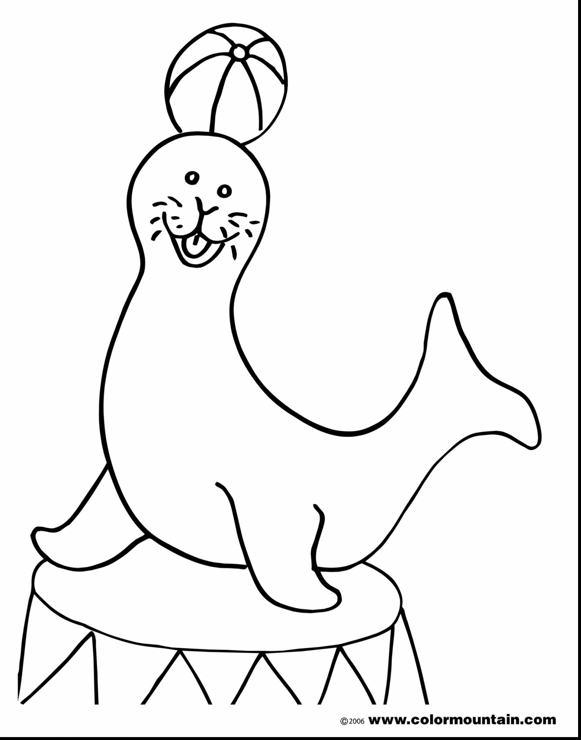 1980x2523 Circus Animals Coloring Pages Beautiful Circus Coloring Pages