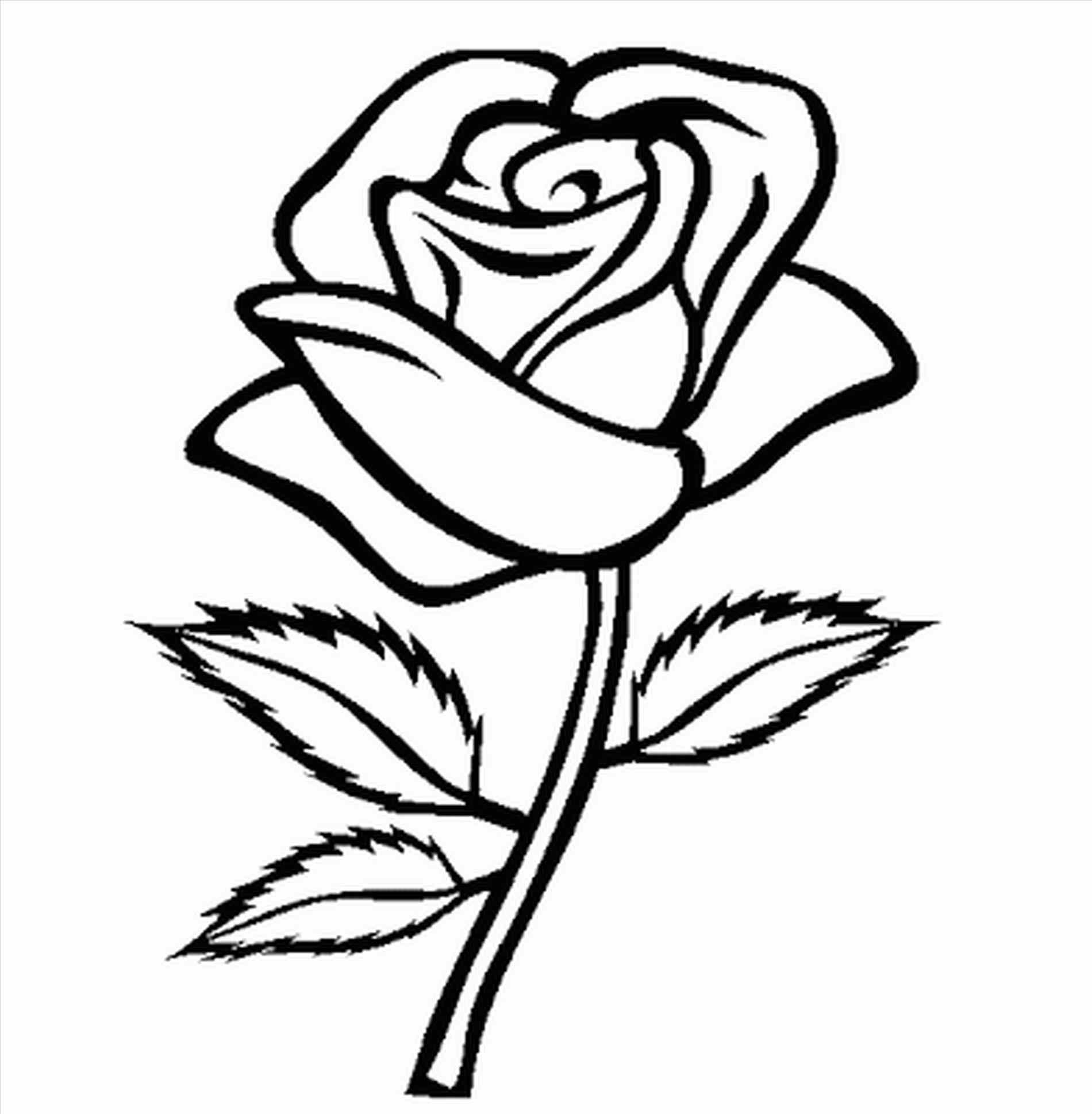 1900x1938 Easy Cute Flowers Coloring Pages Flower Of Rose Star Rose Cute
